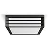 Philips Lighting Moonshine Lampada da Soffitto da Esterno, Grigio Scuro