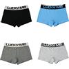 BaronHong Boxer Slip Boyshorts Tutto Il Giorno Comfort Biancheria Intima di Cotone Cuciture Piatte per maschiaccio Lesbiche Maschili