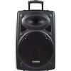 Selius Altoparlante portatile da 800W con Bluetooth - Altoparlante da 15 pollici - Sistema audio professionale - Nero