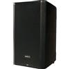 Selius Altoparlante attivo da 15 pollici - 1000 watt - Bluetooth - Cassa in metallo - Ideale per DJ e concerti