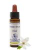 NATUR Srl Cherry Plum Fiore di Bach Essenza Naturale in Gocce 10 Millilitri Rimedio Emozionale Ingl Herb per Controllo e Calma