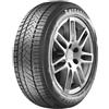 AUTOGREEN 235/55 R19 105 V Autogreen Winter-max A1 Wl5 Xl Bsw M+s 3pmsf