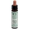 SANTIVERI Ainsworths cherry plum 10ml - SANTIVERI - 906020072