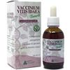 ALCHIMIA BENOIT Vaccinium vitis idaea gemmoderivato 50 ml - ALCHIMIA BENOIT - 976838072