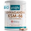 +LIFE Ashwagandha KSM-66 BIO 600 mg, Alta Concentrazione PiùLife, 180 Capsule | 2 al giorno, Estratto di Radice Titolato 5% Witanolidi, Agricoltura Biologica, con Piperina, Senza Glutine e Lattosio