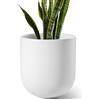 LE TAUCI 25 cm Vaso per Piante, Vaso in Ceramica per Piante da Interno, Vasi per Piante per Casa, Giardino, Patio Ufficio, Vaso per Fiori da Esterno con Fori di Drenaggio, Bianco