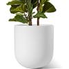 LE TAUCI 30 cm Vaso per Piante, Vaso in Ceramica per Piante da Interno, Vasi per Piante per Casa, Giardino, Patio Ufficio, Vaso per Fiori da Esterno con Fori di Drenaggio, Bianco