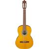Ibanez Acoustic guitar / GA3OAM Standard