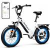 Bodywel F20 E-Bike Adulto 48V 15Ah Batteria 250W Motore 25 km/h, Bici Elettrica Fatbike 20 Pollici per Uomo e Donna, 7 Velocità, Display Smart APP, Freni a Disco 180mm, Portapacchi