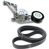 SKF VKMA 31079 Kit Multi-V | Compatibile con: AUDI A3, A3 Cabriolet, A3 Sportback, SEAT ALTEA, ALTEA XL, LEON, TOLEDO III, SKODA OCTAVIA II