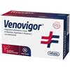 Amnol Venovigor Integratore Per Contrastare L'Insufficienza Venosa 20 Stick