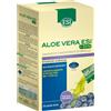 ESI ALOE VERA SUCCO + FORTE MIRTILLO 24 POCKET DRINK
