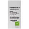 OTI Officine Terapie Innovative Ribes Nigrum Macerato Glicerico 10% Gocce 100ml