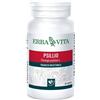 Erba Vita PSYLLIO 60 CAPSULE