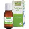 Sarandrea Vaccinium Vitis-idaea 60 Ml Macerato Glicerico