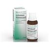 Heel SELENIUM HOMACCORD*OS GTT 30ML
