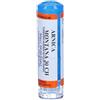 Hering ARNICA MONTANA*30CH 80GR 4G