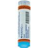 Hering IGNATIA AMARA*30CH 80GR 4G