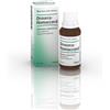 Heel DROSERA HOMACCORD*OS GTT 30ML