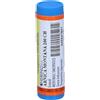 Hering ARNICA MONTANA*200CH GL 1G