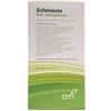 OTI Officine Terapie Innovative ECHINACEA OTI COMPOSTO 20 FIALE FISIOLOGICHE 2ML