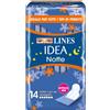 Fater LINES IDEA NOTTE CON ALI RIPIEGATE 14 PEZZI