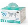 Camon Kit Raccolta Urine