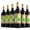 Telaro Falanghina Tardiva 2025 Roccamonfina Igt 75 cl 6 Bottiglie