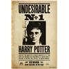 GRUPPO ERIK Harry Potter Undesirable Number 1 poster Erik