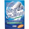 Sella White and Clean Spearmint Chewing Gum senza zucchero, 28g