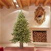 EDG Enzo De Gasperi Albero di Natale Pino Luxury 210x142cm Realistico 4000 LED 3387 Rami