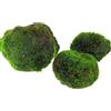 Aqua Breeding Skill AquaBreedingSkill Set di 3 alga palla Marimo viva 4-5 cm - piante vere per acquario dolce, pianta acquario vera naturale, marimo alga regalo