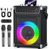 Selius Altoparlante karaoke Bluetooth portatile - Nero - Con 2 microfoni UHF e illuminazione LED d'atmosfera