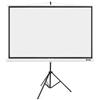 Acer T87-S01MW schermo per proiettore 2,21 m [87] 4:3 (T87-S01MW STATIV SCREEN -