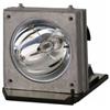 Vivid Lamp for OPTOMA THEMESCENE H27 Original Inside Projector Lamp - Replaces BL-FS20