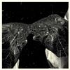 Secret Boyfriend Memory Care Unit (Vinyl LP) 12" Album