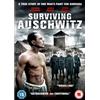 High Fliers Video Distribution Surviving Auschwitz (DVD) Denis Sandler Alaa Safi Bruce Payne Isabella Orsini