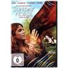 Lighthouse Home Entertain Sunday Horse - Ein Bund furs Leben (DVD) Reed Nikki Hamilton Linda Shatner Ryan