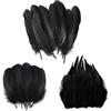 SNBUHA 300 Pezzi Nero Piume Decorative, Piume D'Oca Naturali, Naturali Piuma per Decorazioni Fai da Te, Le Feste di Compleanno e Matrimonio Costume, Ali d'Angelo e Artigianato Fatato(3 Sizes)