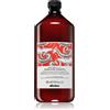 Davines Naturaltech Energizing 1000 ml