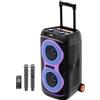 Selius Kit karaoke portatile - Potenza di picco di 600W con 2 microfoni ricaricabili e illuminazione LED