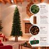 Enzo De Gasperi EDG Enzo de Gasperi Offerta Albero di Natale Pino Slim 180 cm + Base Tronco + 500 Miniled + Borsa