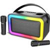 BONTEMPI Cassa Acustica Wireless Con 2 Microfoni Senza Filo