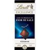 Lindt Excellence Tavoletta di Cioccolato Fondente con Sale, formato 100g