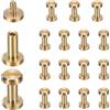 QUARKZMAN 15 Pezzi Vite Chicago M3x6mm 6mm Oro Ottone Testa Piatta | Vite a Perno, Rivetto, Bulloni e Rivetti di Fissaggio, per Cinture in Pelle Fai da Te, Borse, Artigianato, Rilegatura Libri