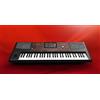 KORG PA700 Professional Arranger Piano Keyboard 61 tasti per composizione mus...