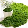 ChaneeHann 200g Muschio Stabilizzato Verde Scuro e Verde Chiaro 100g ciascuno, Muschio Finto per Decorazioni per Pareti, Camerette, Acquari, Modellismo, Piante Artificiali, Decorazione Casa
