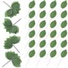SOFPLATE 200 pz. Foglie Singole Finte Verdi con Gambo Foglie Decorative Artificiali di Rosa In Seta per Artigianato Fai Da Te Ghirlande Bouquet Centrotavola Decorazioni per La Casa Matrimoni Compleann
