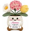 Apjielop Regalo Mamma, Regalo Mamma Compleanno - Garofano All'Uncinetto (13*11*6cm) | Idea Regalo Festa della Mamma Compleanno Natale,Regalo Fiori, Soprammobile Lavorato per Mamma, Decorazione per Casa Scrivania