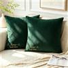 Qryflly Set 2 Federe Velluto Morbido Verde Scuro 50x50 cm Moderno Decorative | Cerniera Nascosta Moderno Lavabili in Lavatrice Bohémien Tessuto Morbido Stile Rustico Retrò Autunno Elegante Cuscino